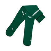 Meião Palmeiras Puma I 25/26 Infantil