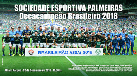 Placa Palmeiras DecaCampeão Brasileiro 2018