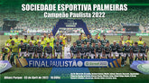 Placa Pôster Palmeiras Campeão Paulista 2022