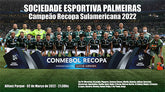 Placa Pôster Palmeiras Campeão Recopa Sulamericana