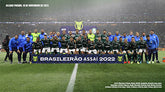Placa Palmeiras Hendecacampeão Brasileiro 2022
