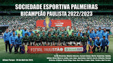 Placa Pôster Palmeiras Bicampeão Paulista 2022-2023