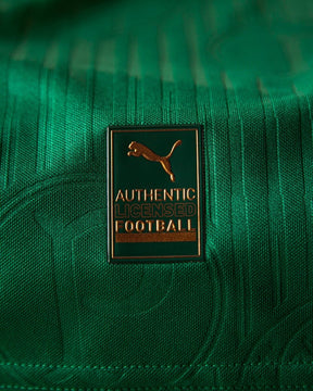 Camisa Palmeiras Versão Jogador Puma 24/25 Home