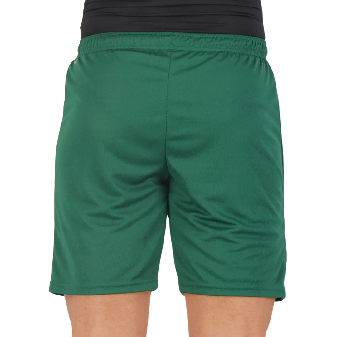 Short Palmeiras Puma 22/23 Away