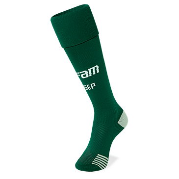 Meião Oficial Palmeiras 2023/24 Verde