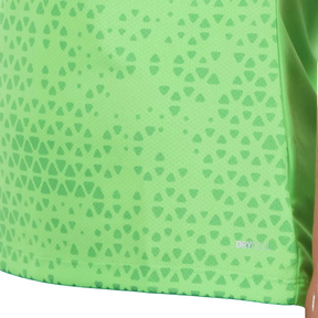 Camisa Puma Palmeiras Treino 2024 Feminina Verde