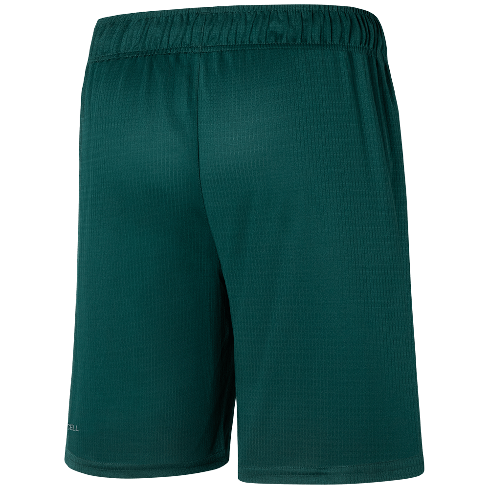Short Palmeiras Puma II 23/24