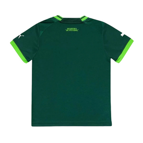Kit Infantil Puma Palmeiras I 2023