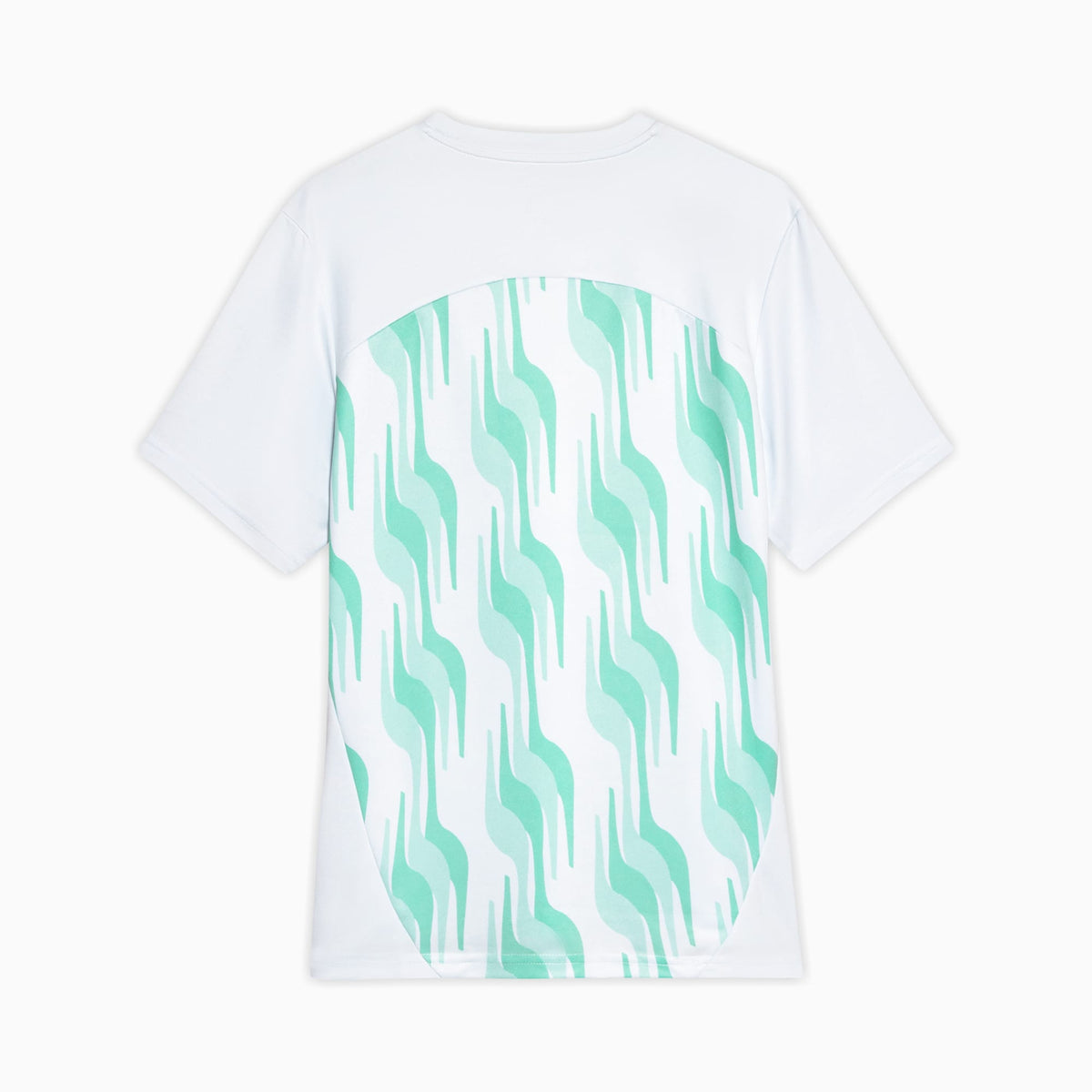 Camisa Pré-Jogo Palmeiras 2025