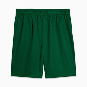 Shorts Palmeiras Torcedor AWAY 2025