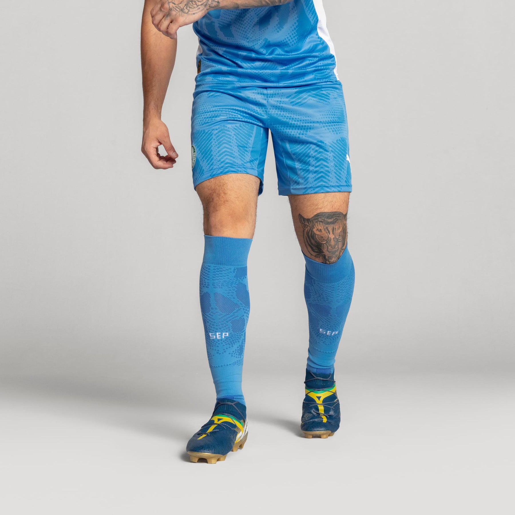 Meião Goleiro Palmeiras HOME 2025