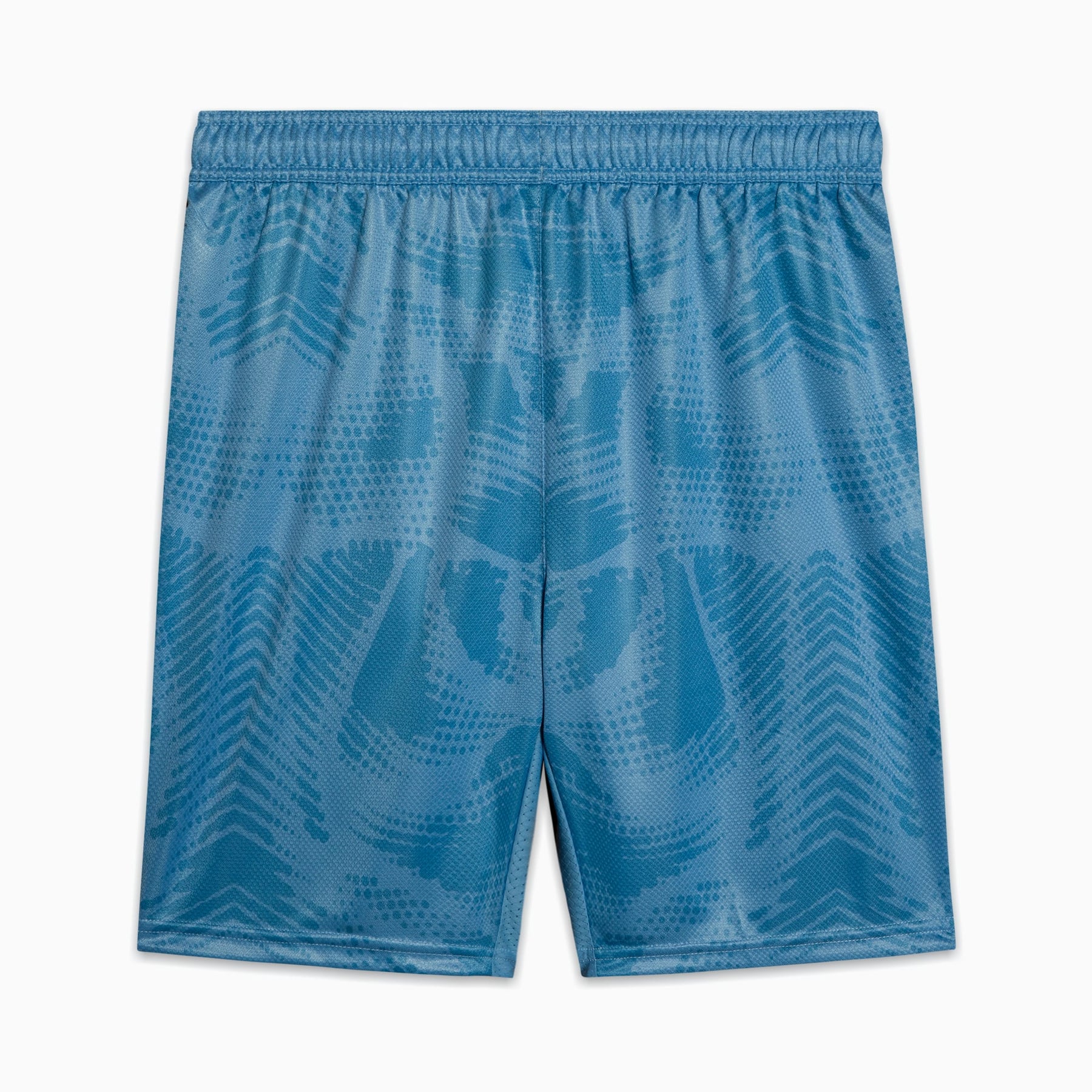 Shorts Goleiro Palmeiras Jogador  HOME 2025