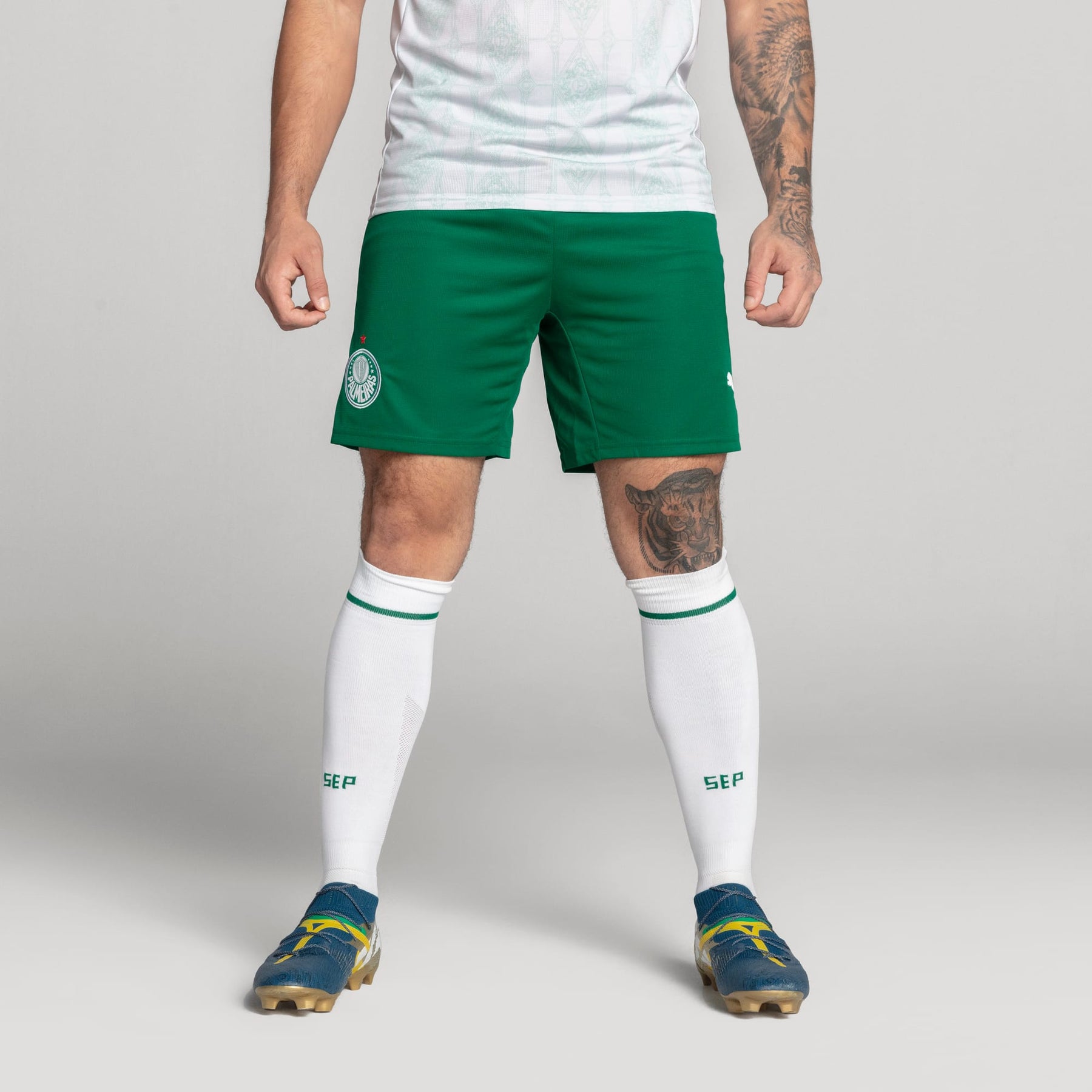 Shorts Palmeiras Torcedor AWAY 2025