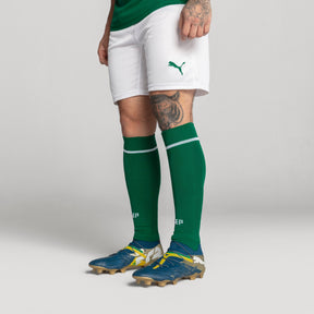 Meião Palmeiras HOME 2025