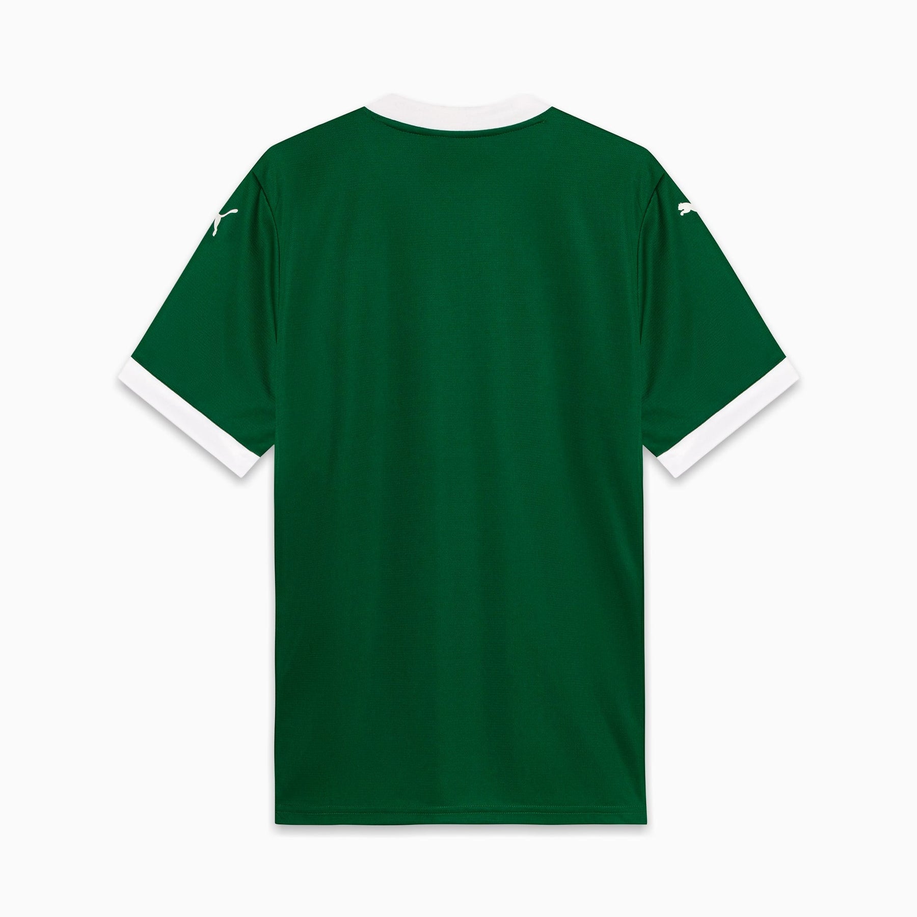 Camisa Palmeiras HOME Torcedor 2025