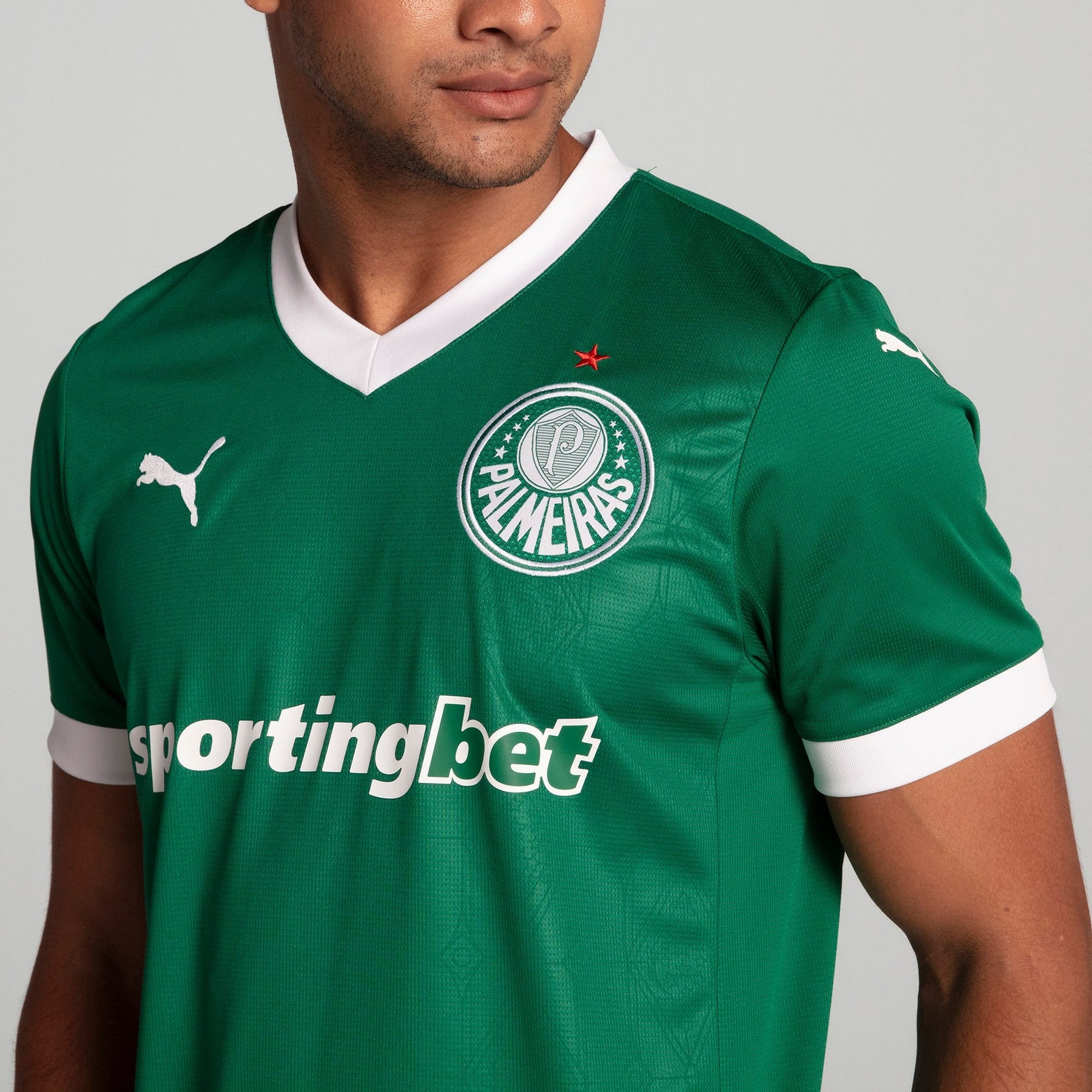 Camisa Palmeiras HOME Torcedor 2025