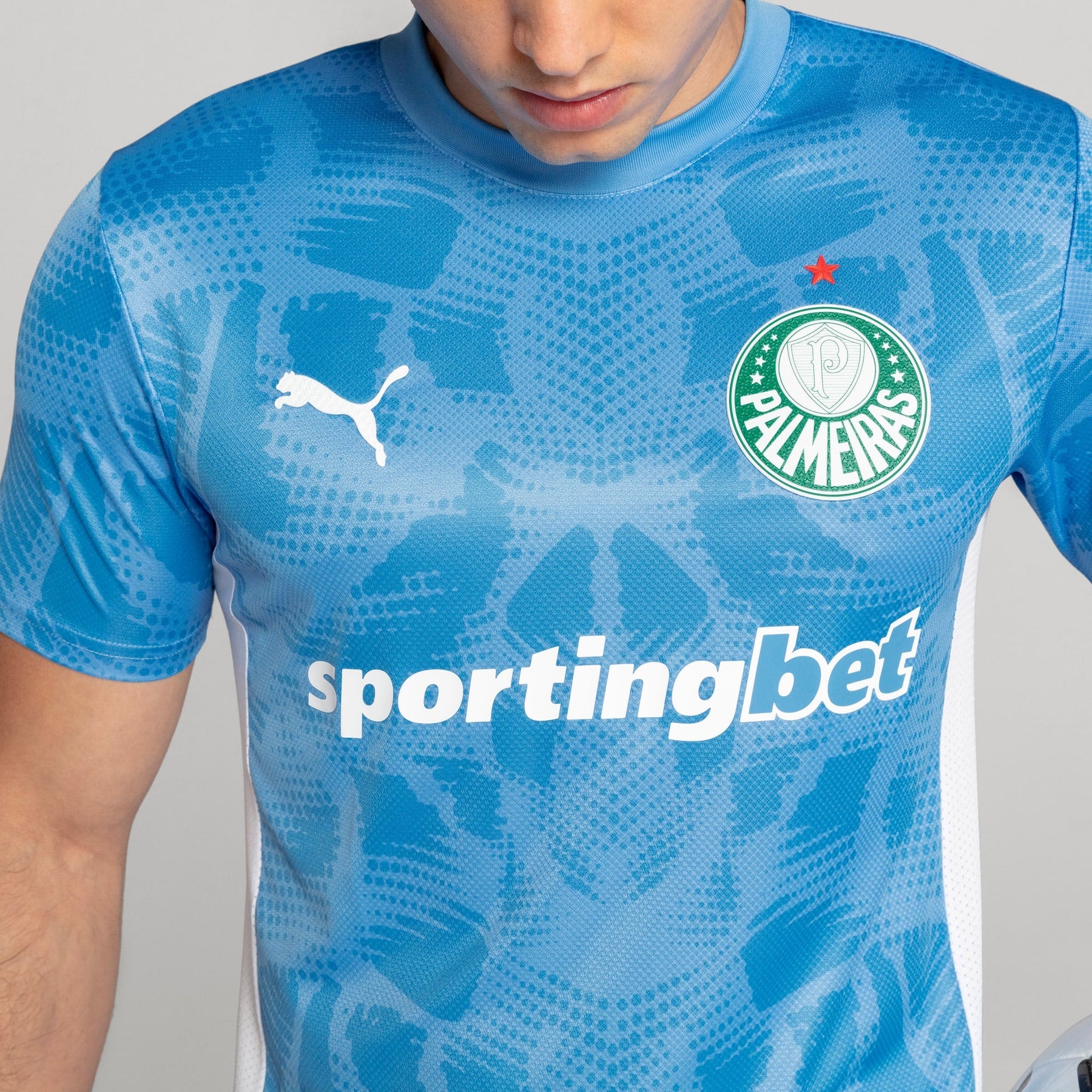 Camisa Goleiro Palmeiras Jogador HOME 2025