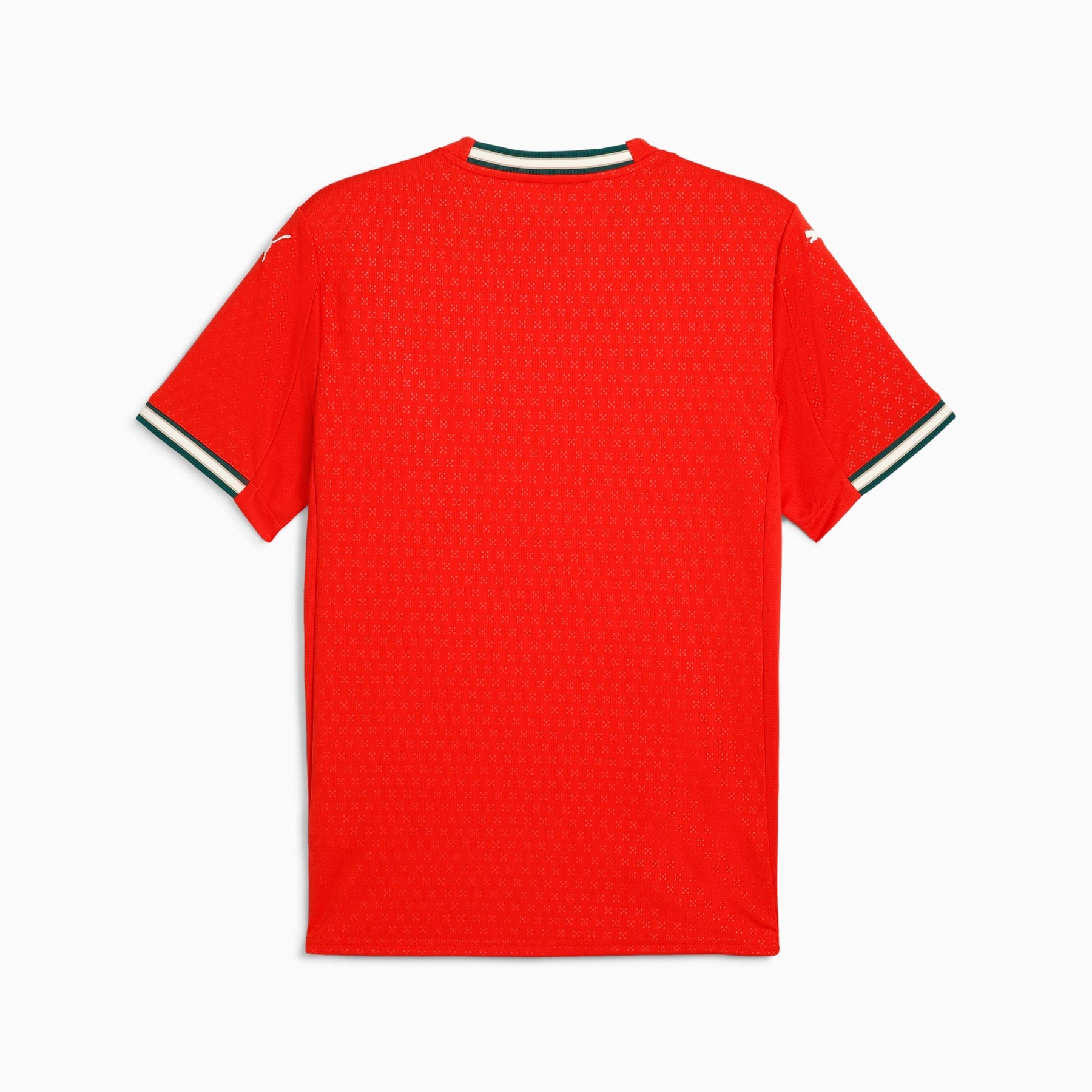 Camisa Portugal Home 2025 Masculina