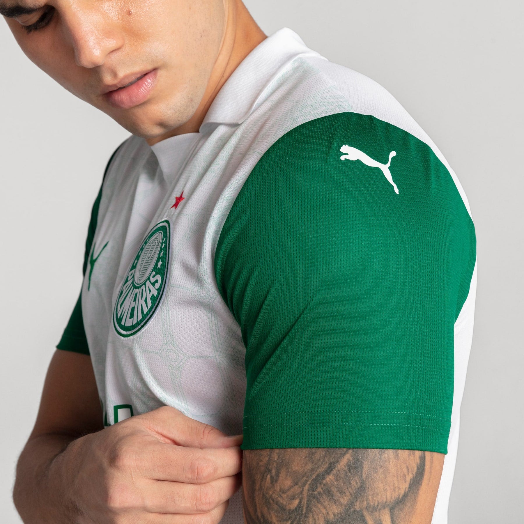 Camisa Palmeiras Torcedor AWAY 2025