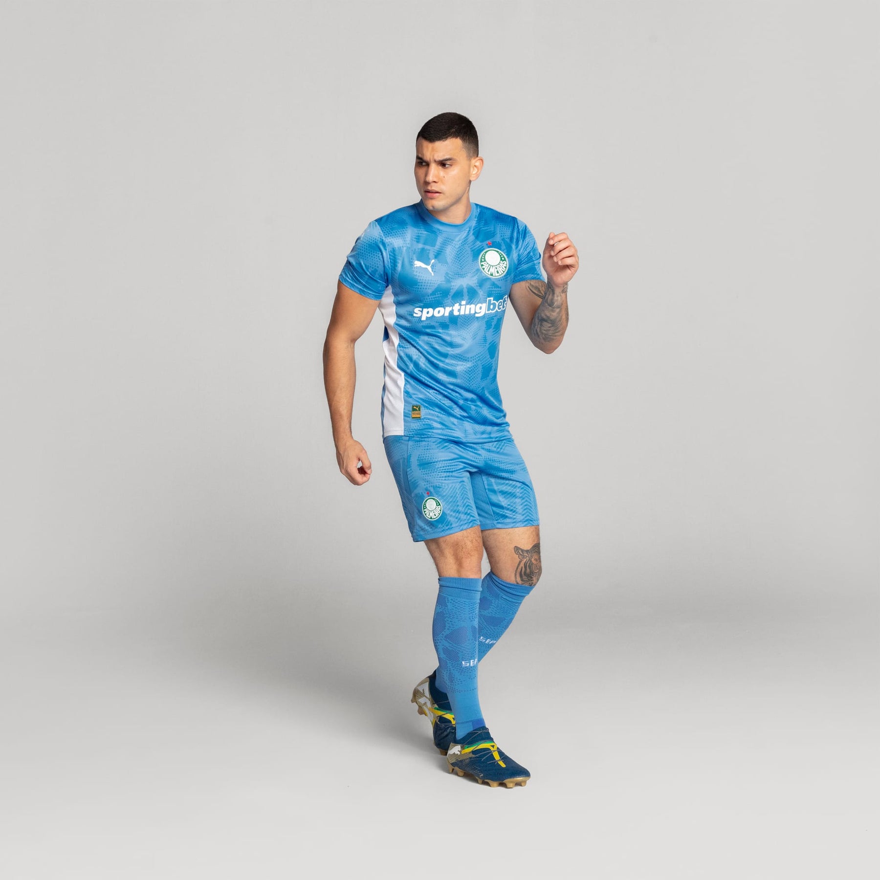 Meião Goleiro Palmeiras HOME 2025