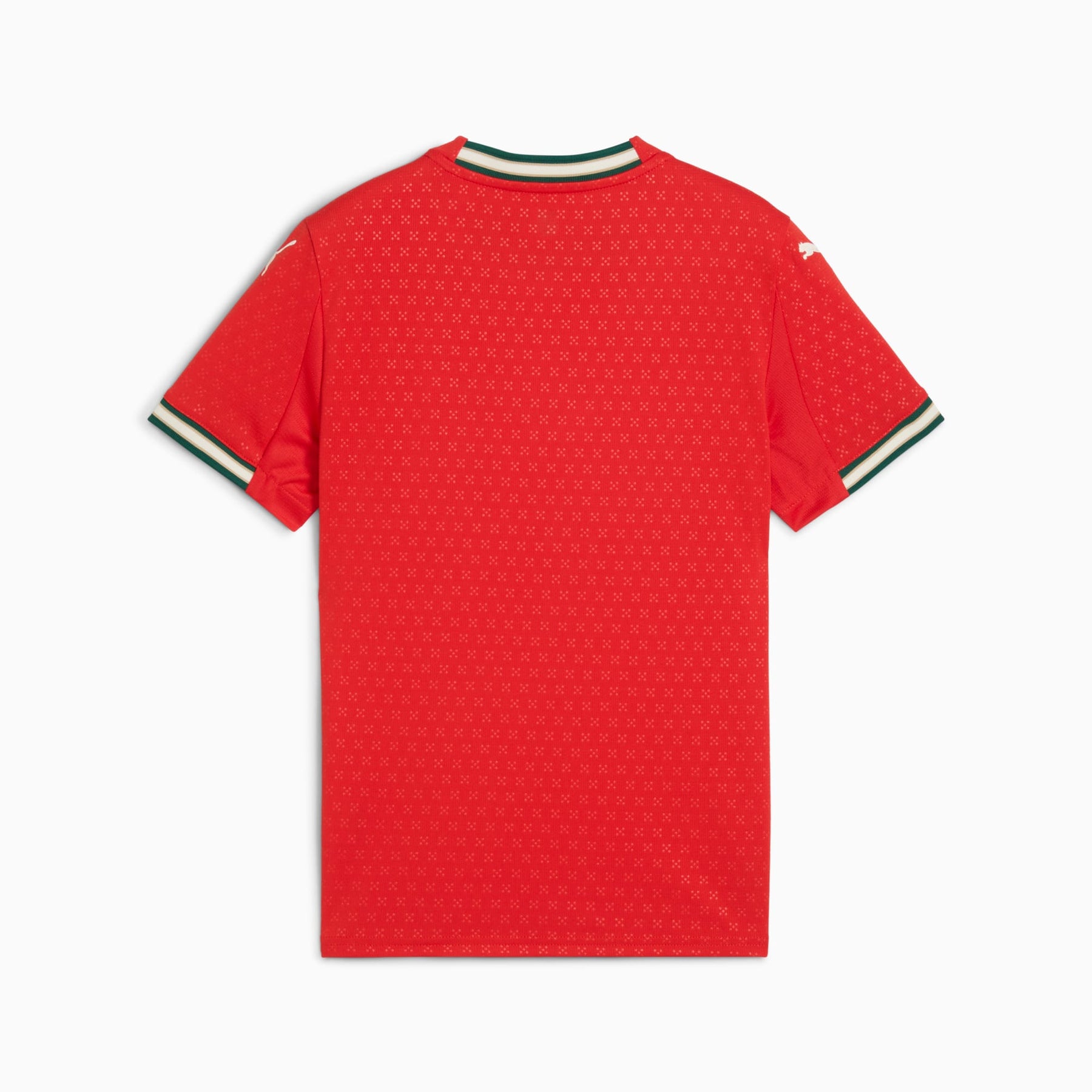 Camisa Portugal Home 2025 Juvenil