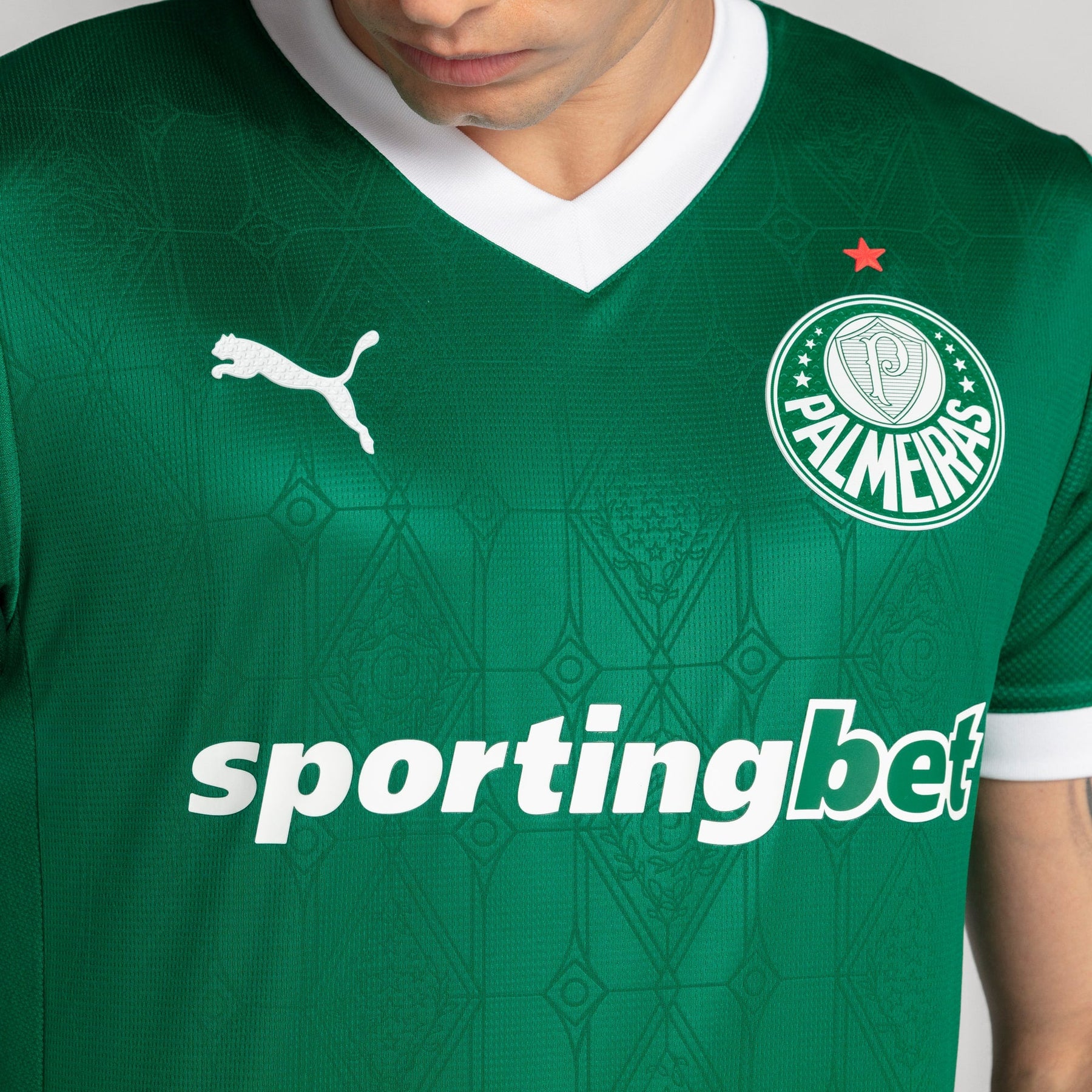 Camisa Palmeiras Jogador HOME 2025