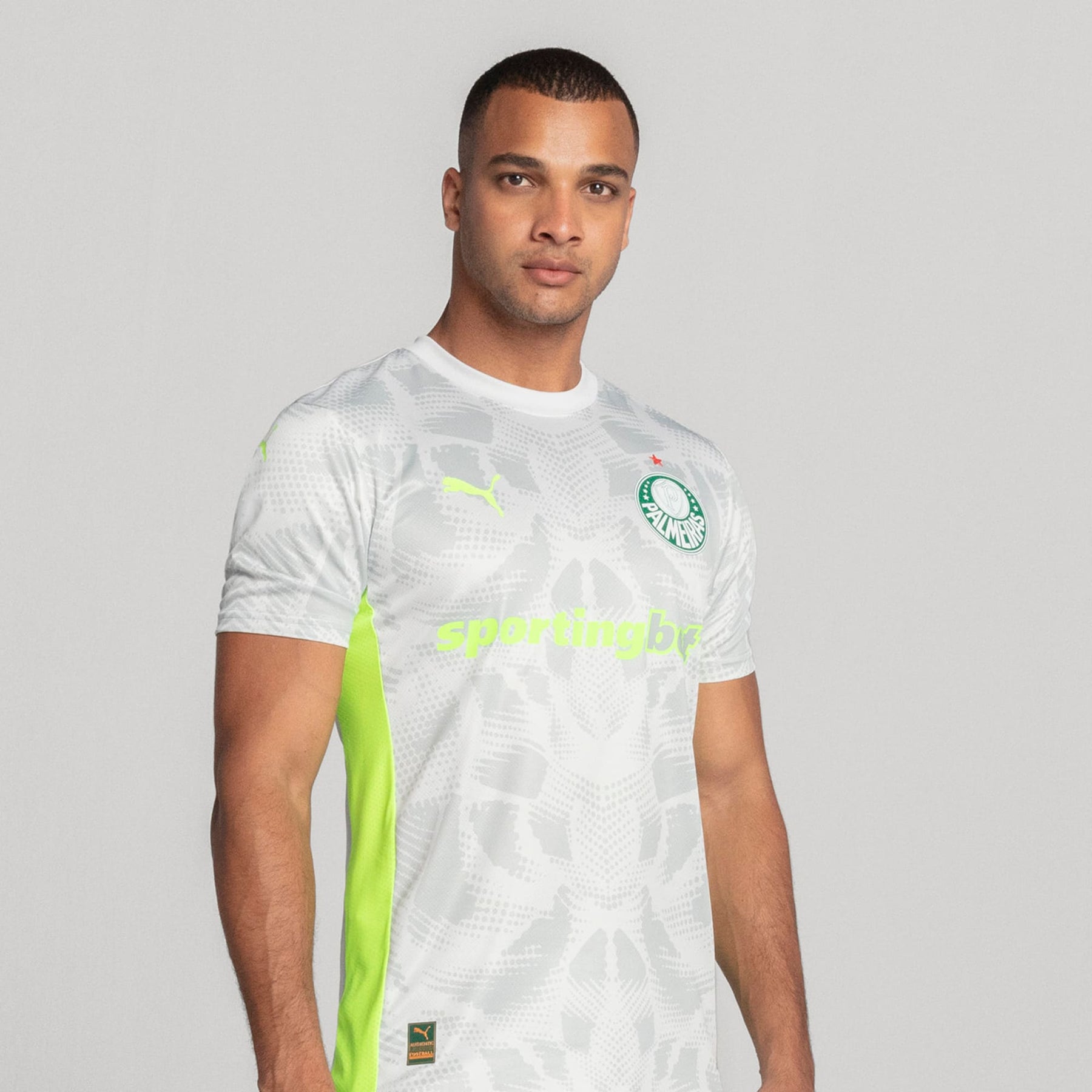 Camisa Goleiro Palmeiras Jogador THIRD 2025