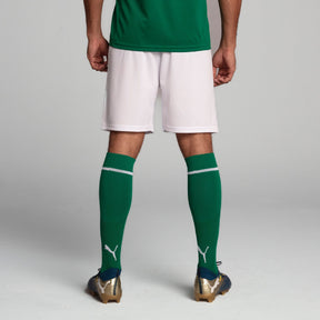 Shorts Palmeiras Torcedor HOME 2025