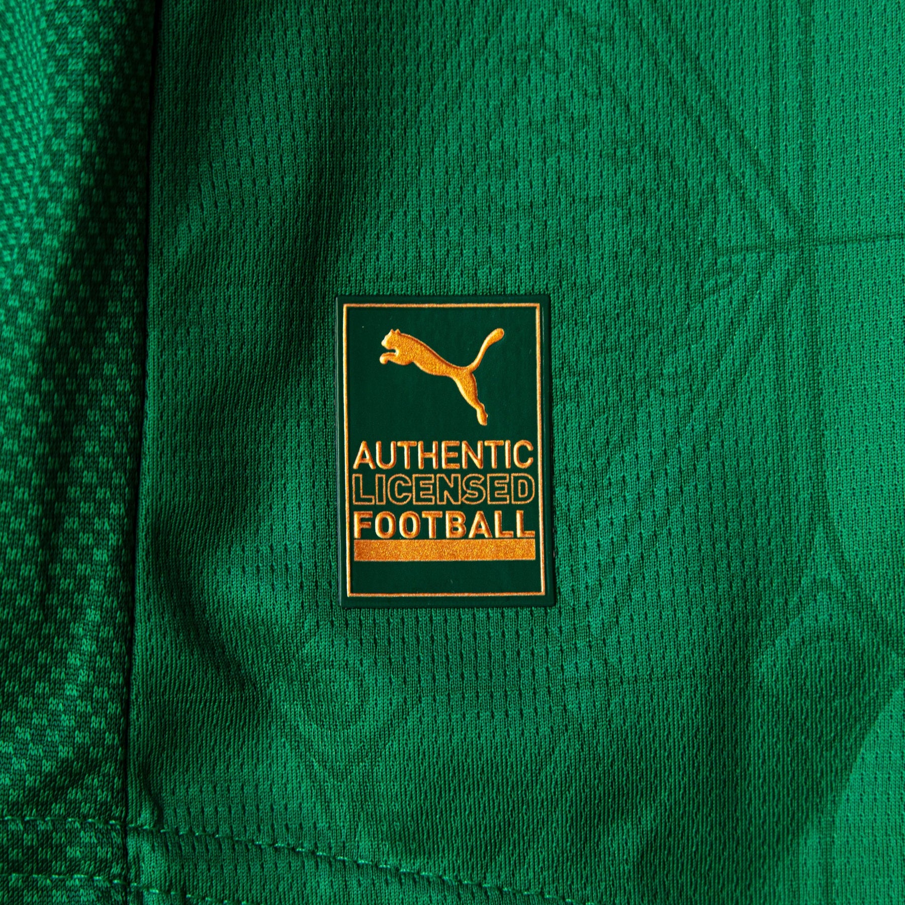 Camisa Palmeiras Jogador HOME 2025