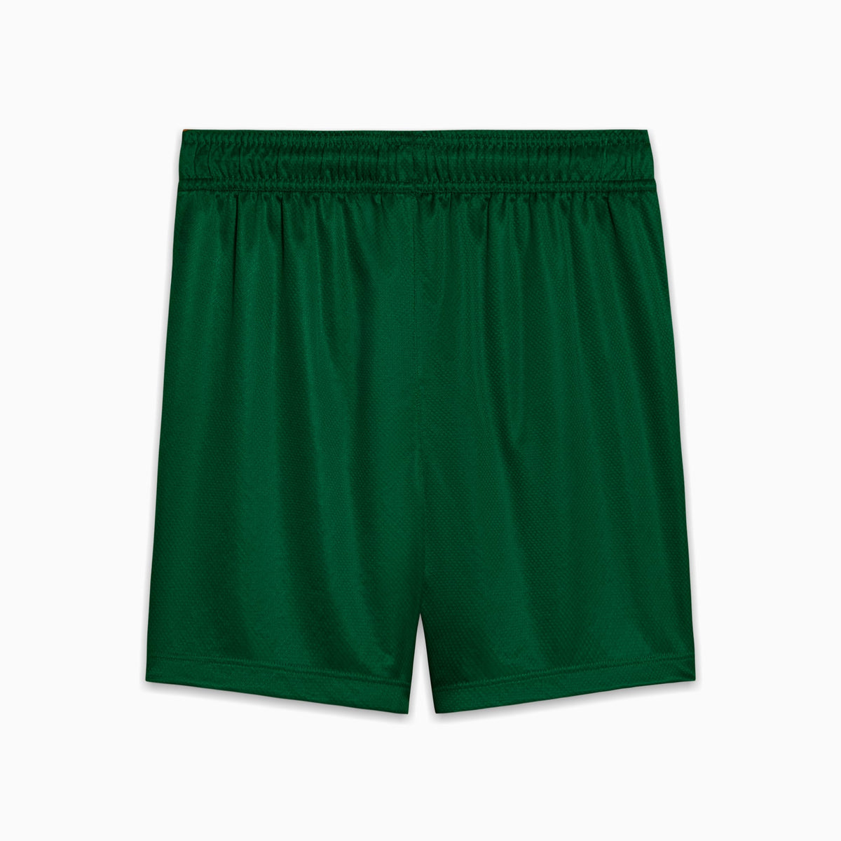 Shorts Palmeiras Torcedor AWAY 2025 Juvenil