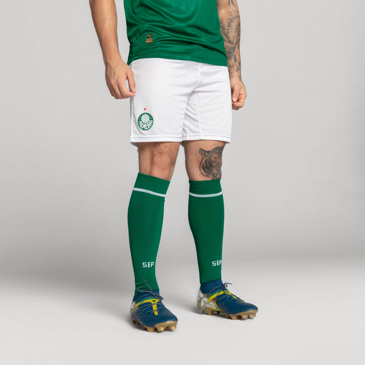 Meião Palmeiras HOME 2025