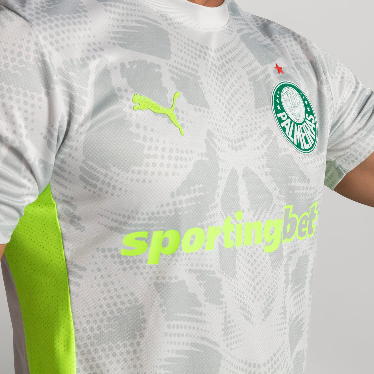 Camisa Goleiro Palmeiras Jogador THIRD 2025