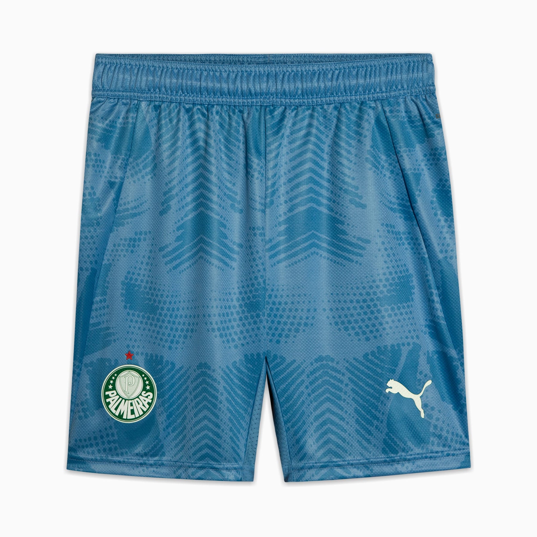 Shorts Goleiro Palmeiras Jogador  HOME 2025