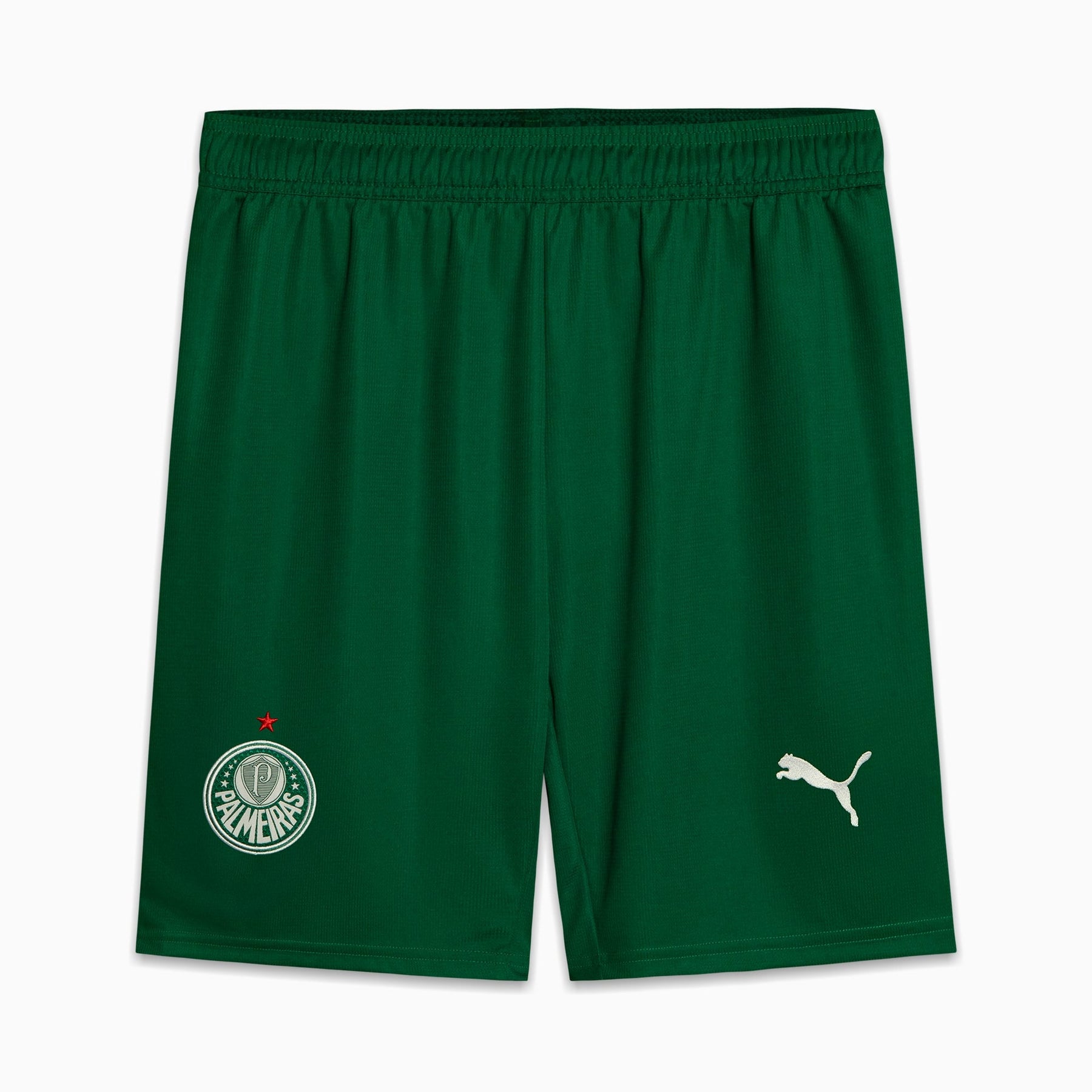 Shorts Palmeiras Torcedor AWAY 2025