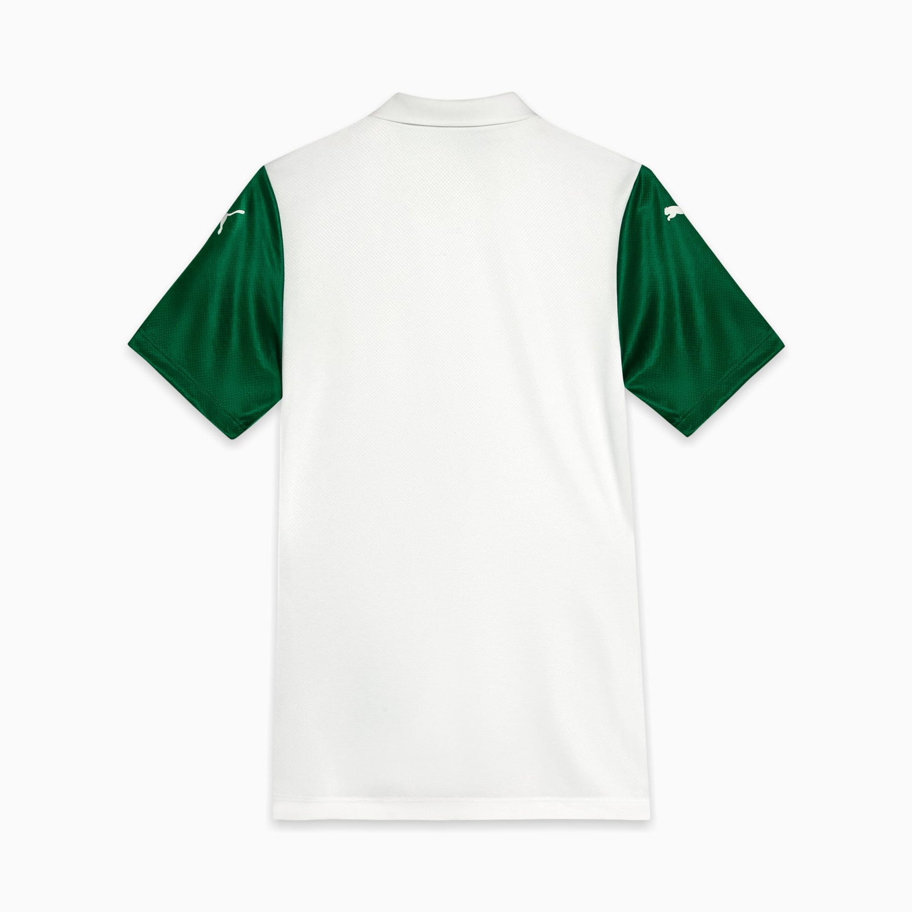 Camisa Palmeiras Jogadora AWAY 2025 Feminina