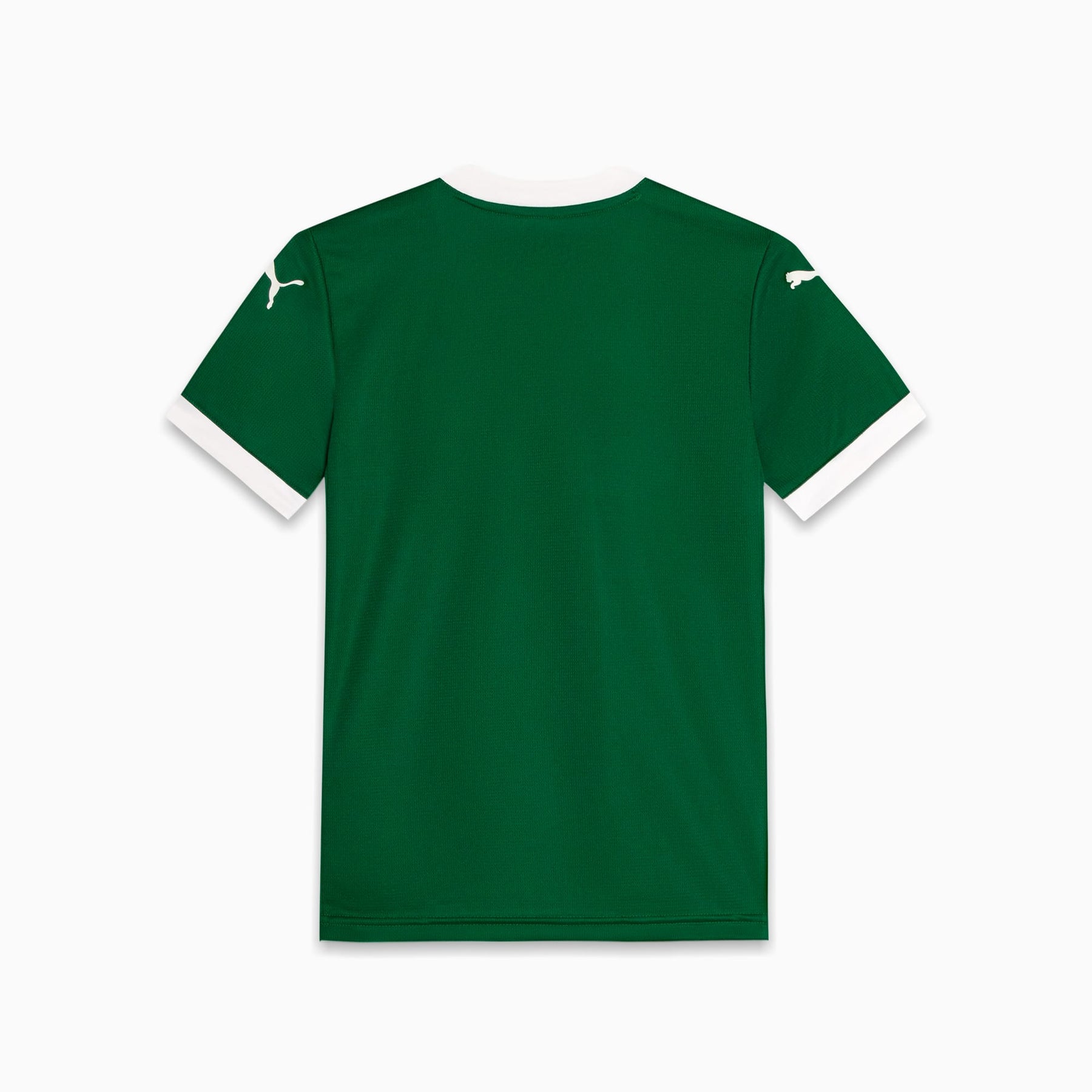 Camisa Palmeiras Torcedor HOME 2025 Juvenil